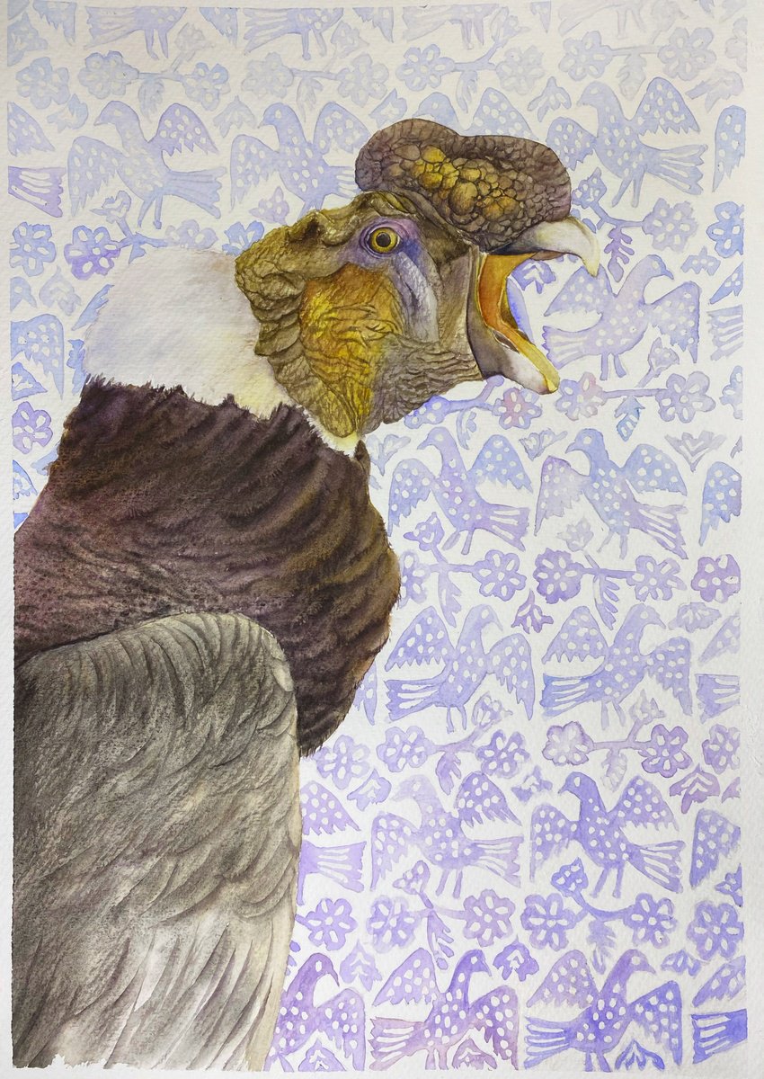 Photorealistic Animal Watercolour By Tetiana Savchenko, 12 X 17", Andean Condor With Ornament, Original Artwork