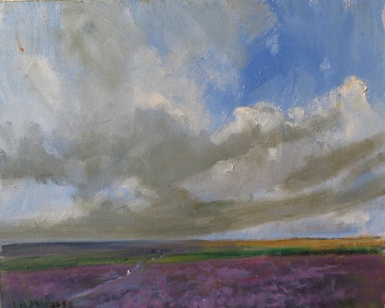 Bransdale Heather