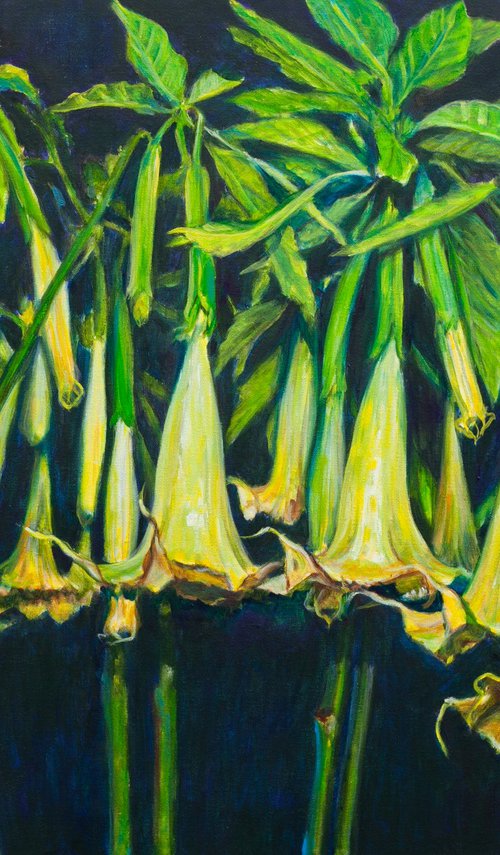 Angels Trumpets by Liudmila Pisliakova