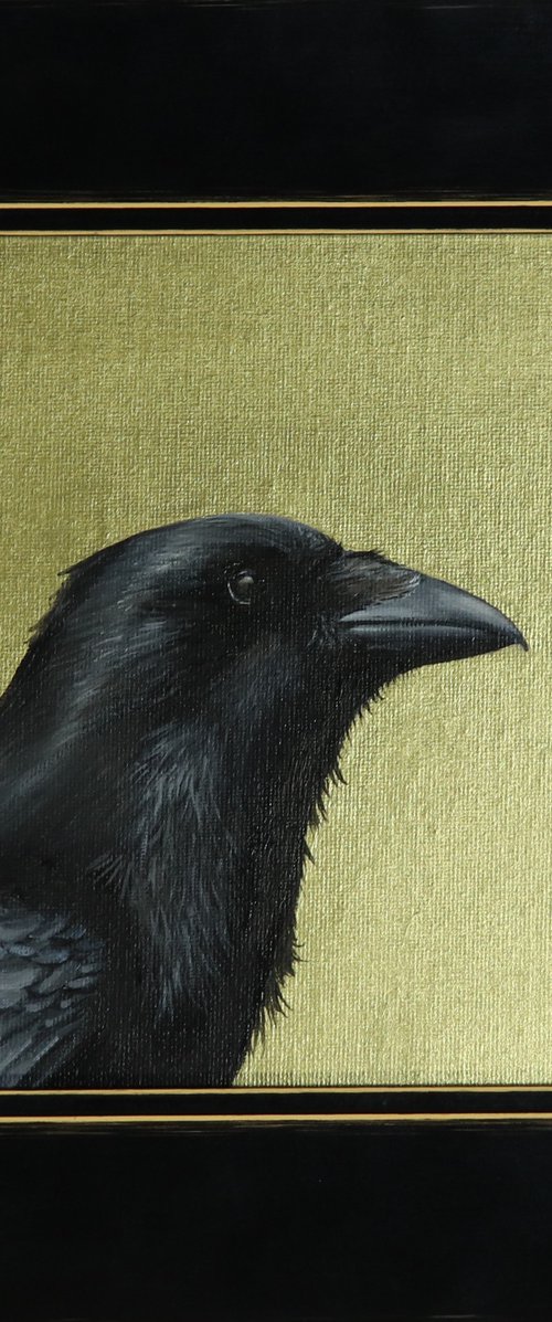 Raven III, Portrait of a Black Bird by Alex Jabore