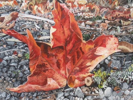 First Signs Of Fall