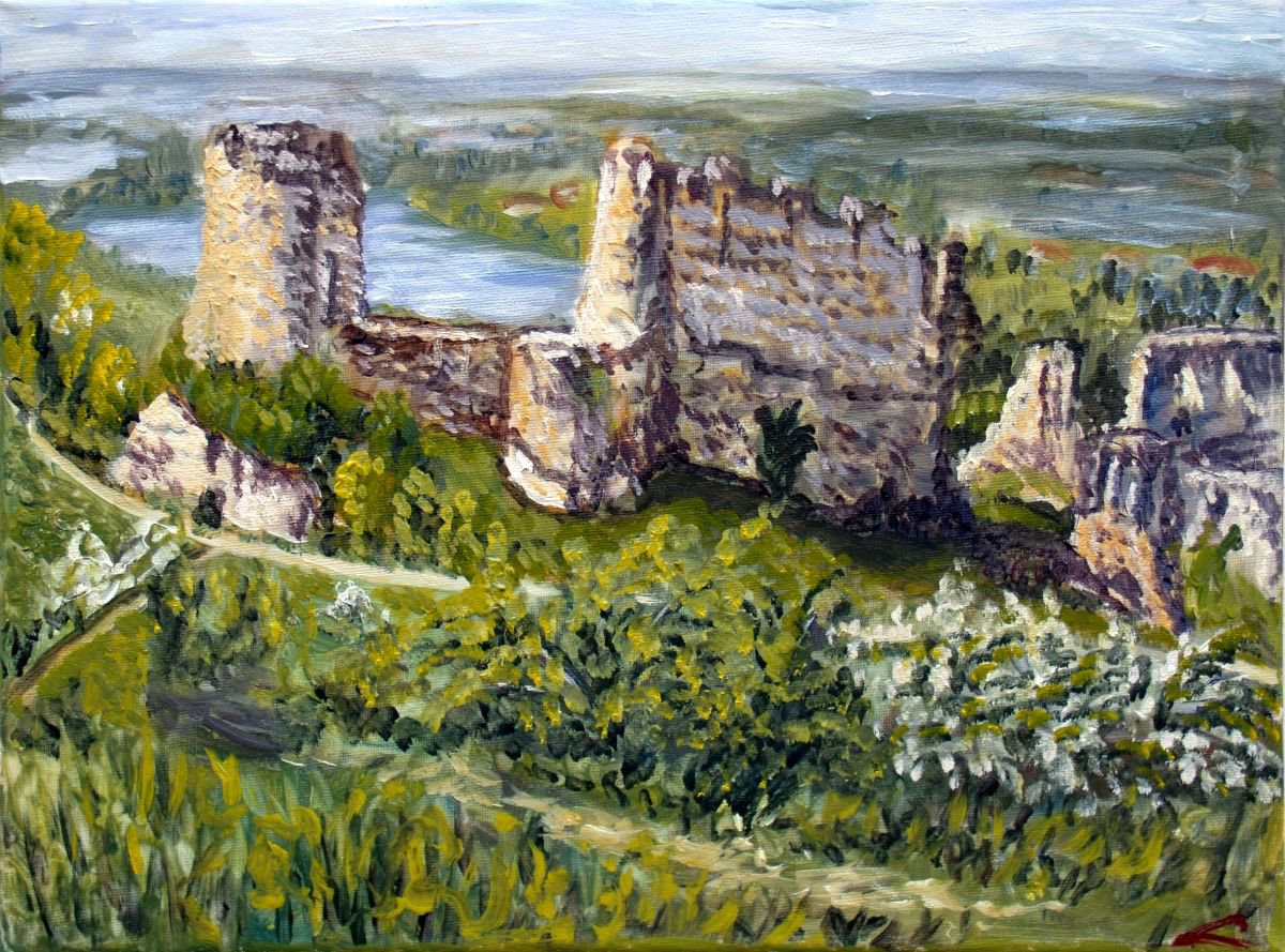 Chateau Gaillard by Elena Sokolova