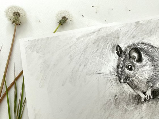 Charcoal Mouse