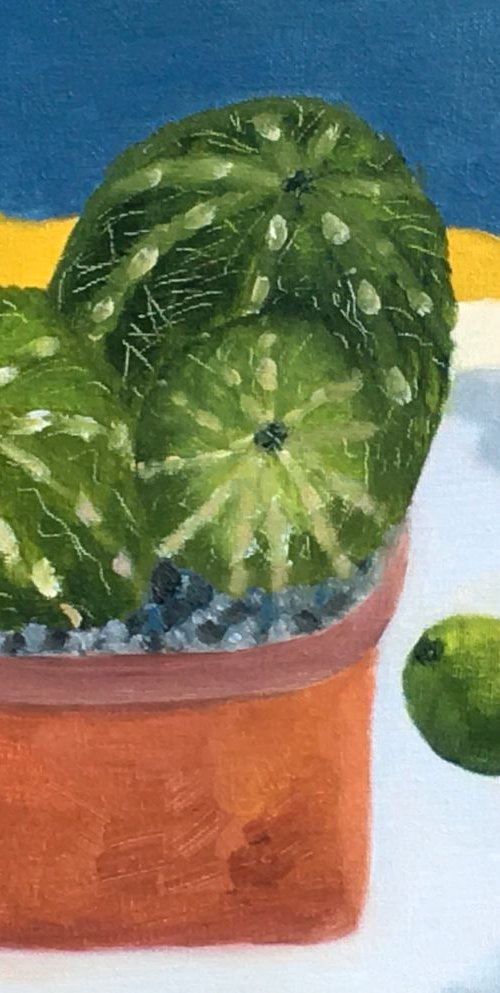 Cacti and lime dreaming of freedom by Chrissie Richards