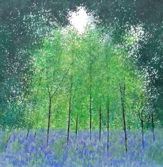 Bluebell Woods II