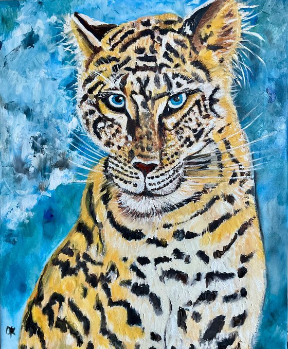Leopard . Blue  eyes.