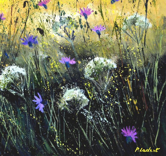 Summer wild flowers