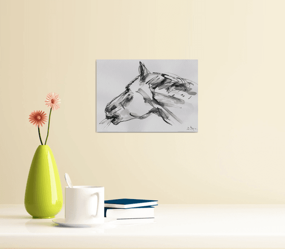 Horse study