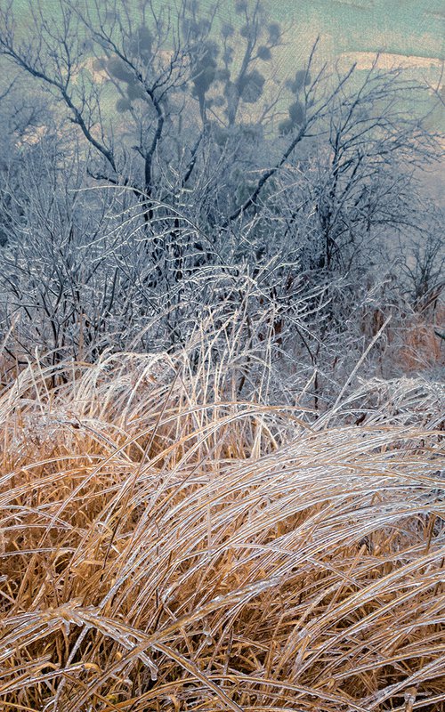 "Pictures from the crystal forest" • Scene 3 by Valerix