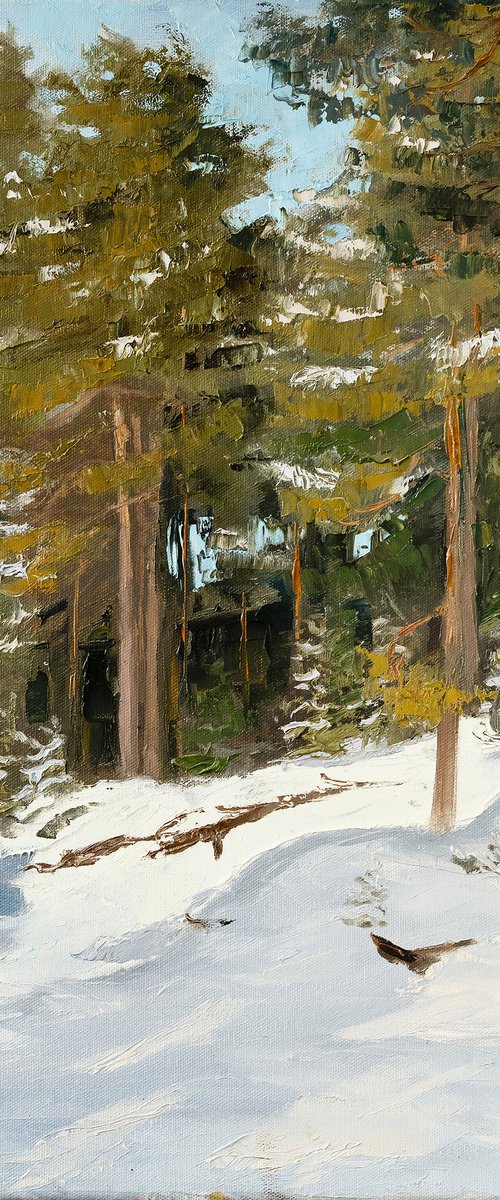 Winter Corner by Sergej Seregin