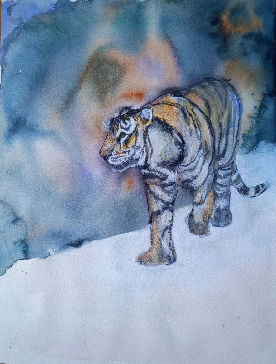 Expressive Animal Watercolour By Marina Del Pozo, 12 X 16", Tiger, Original Artwork