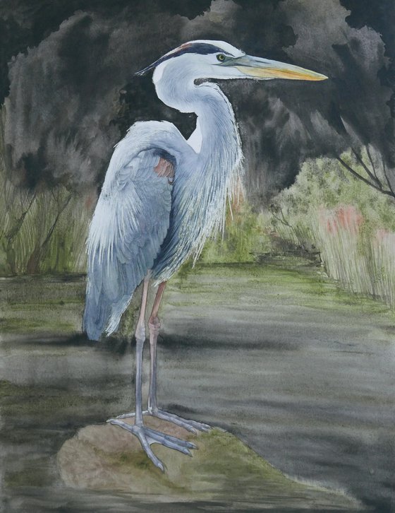 Blue Heron