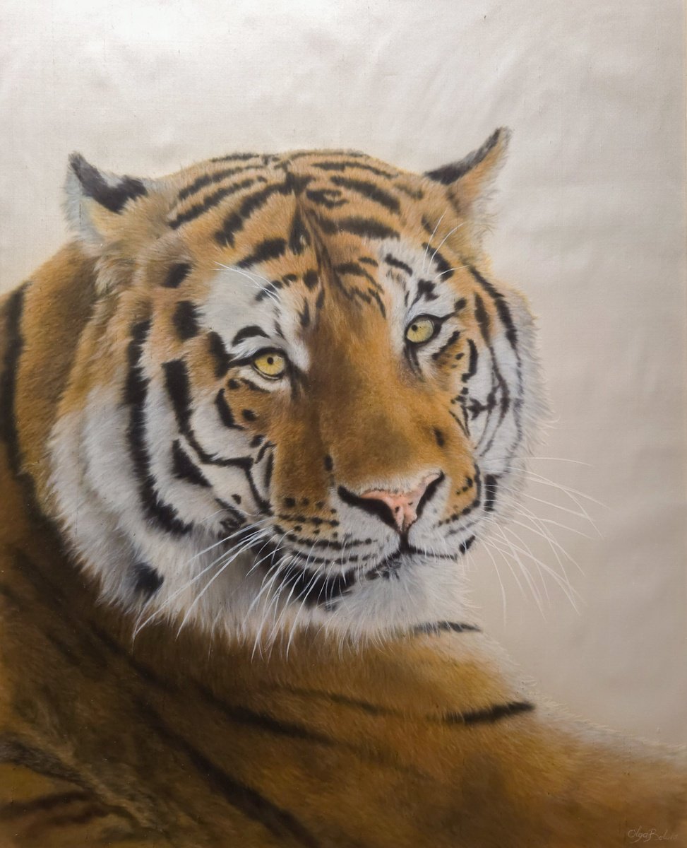 Photorealistic Animal Painting By Olga Belova, 20 X 26", Eyes Of The Eternal, Original Artwork