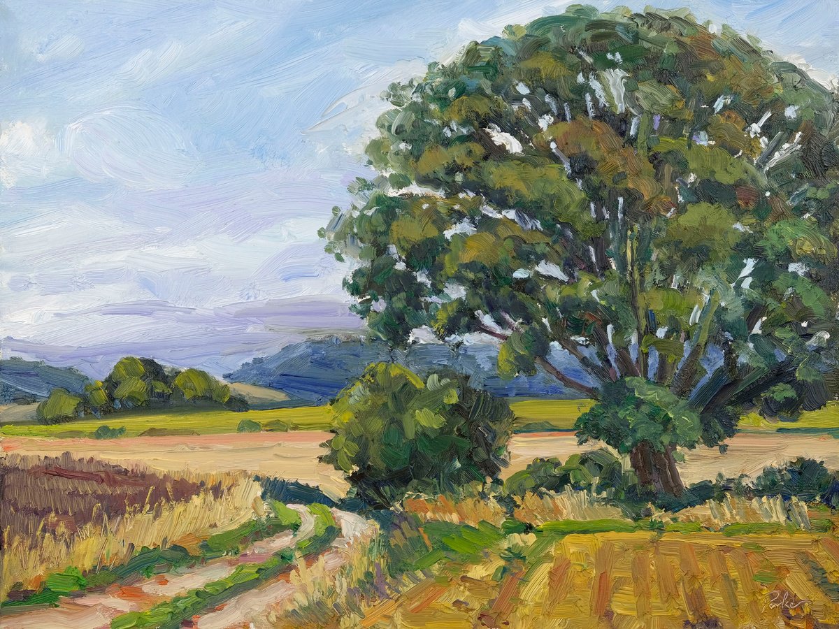 September Oak by Jeff Parker