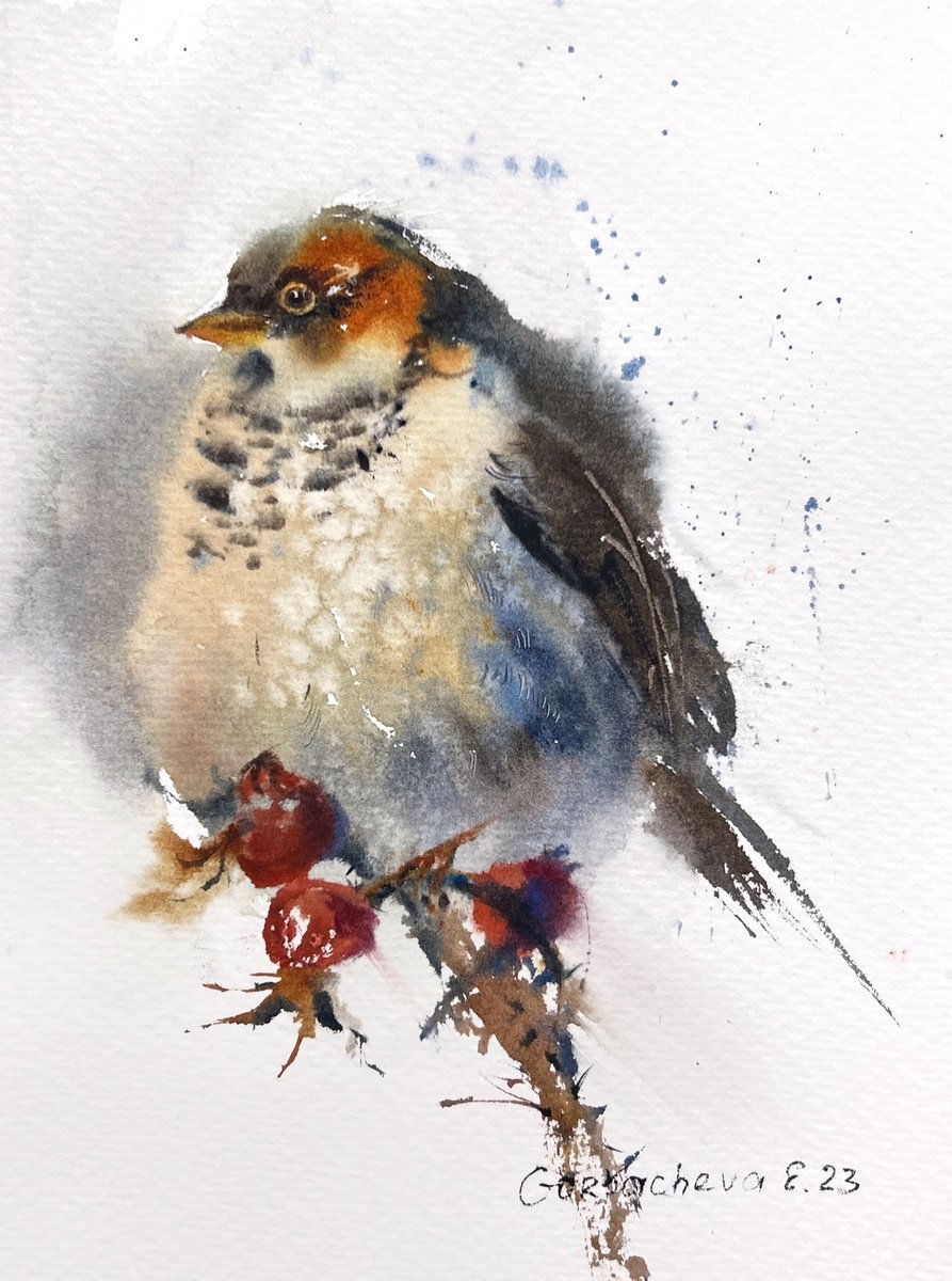 Impressionistic Animal Watercolour By Eugenia Gorbacheva, 7 X 9, Little Bird #2, Original Artwork