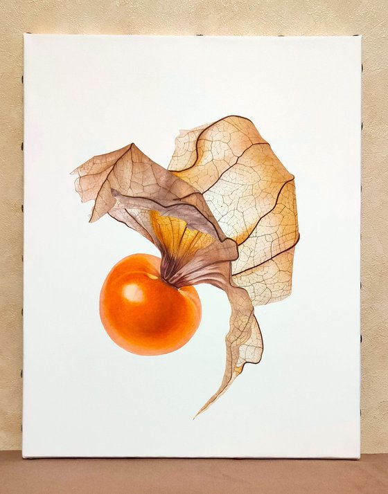 Flying Physalis
