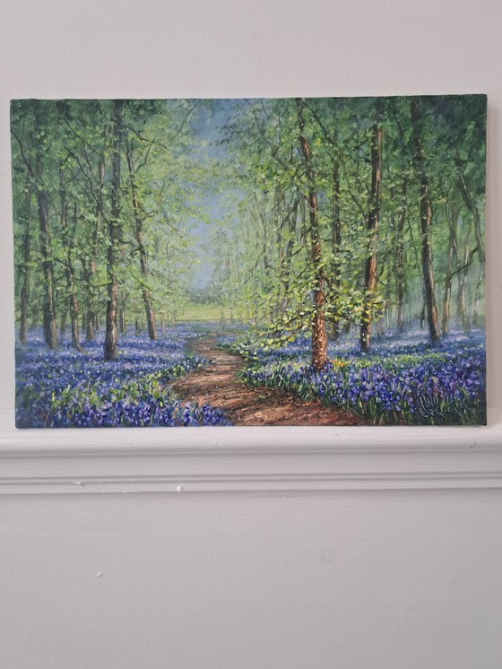 A Walk In The Bluebell Woods