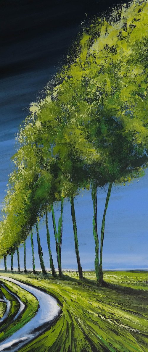 Passing trough Landscape- Fields and Colors Series by Danijela Dan