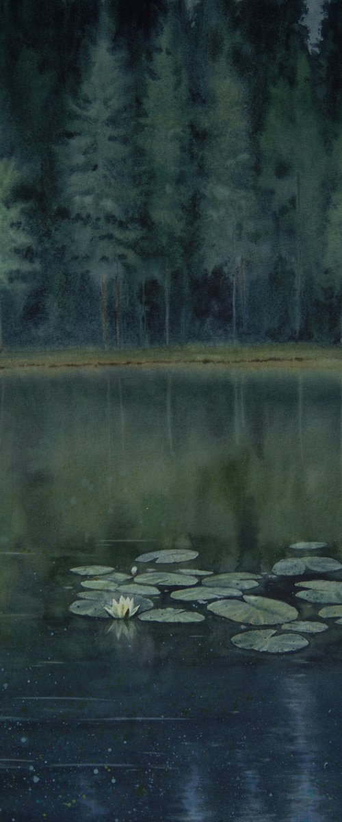 Forest lake with water lilies by Olga Beliaeva Watercolour