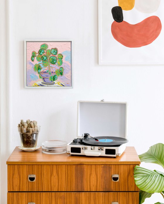 Pilea Peperomioides Still Life