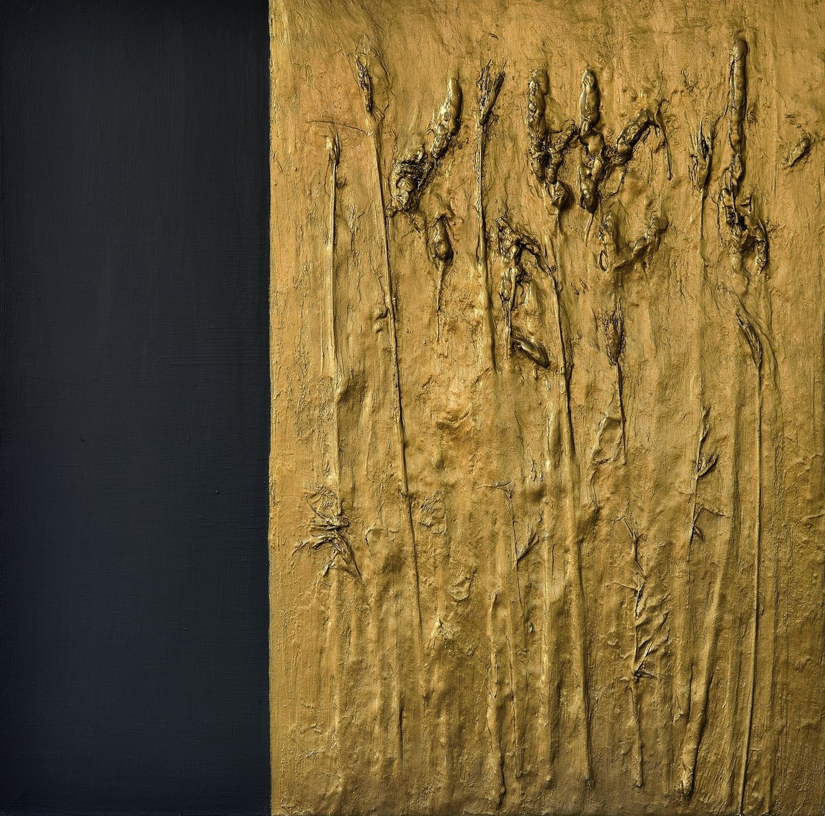 Organic Botanical Painting By Monica Sarandrea, 31 X 28", Demeter