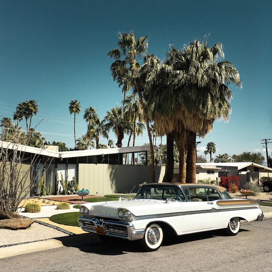 Twin Palms #2