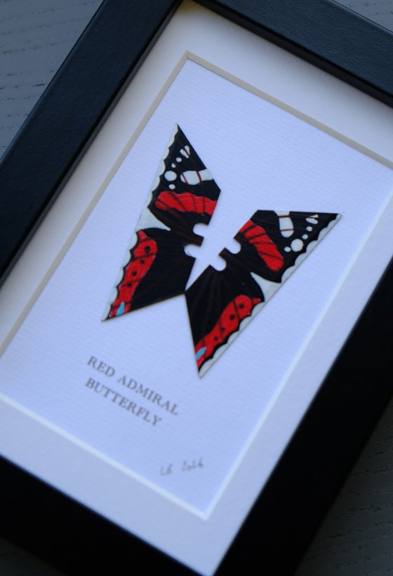 Red Admiral butterfly