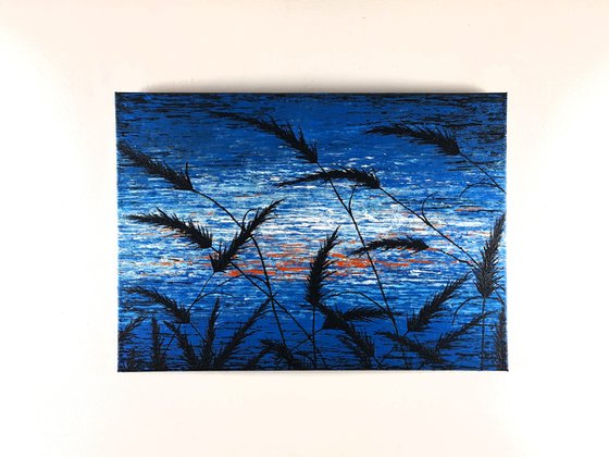 Blue Sunset In The Grass