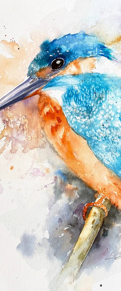 Kingfisher Kraig by Arti Chauhan