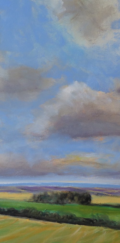 Evening Clouds, Feb 24 by Malcolm Ludvigsen