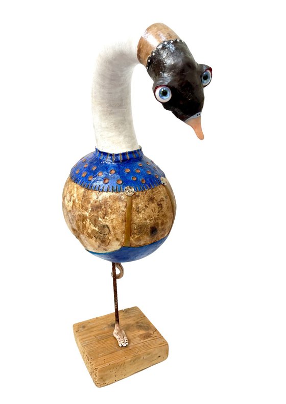 The blue goose