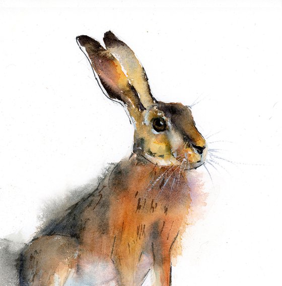 Golden Hare