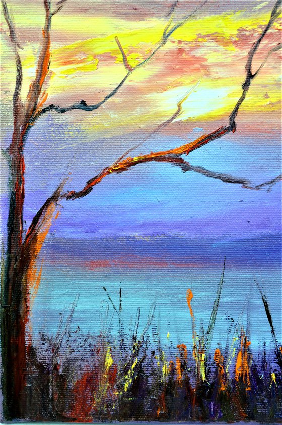 Seeing off the sun