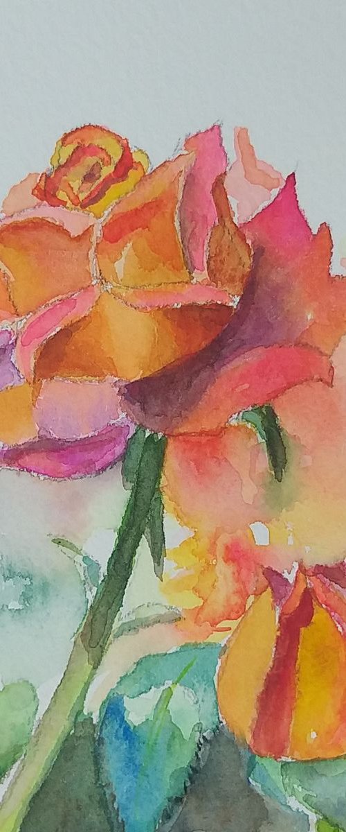 Rose by Geeta Yerra