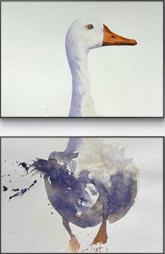 Curious duck White long neck