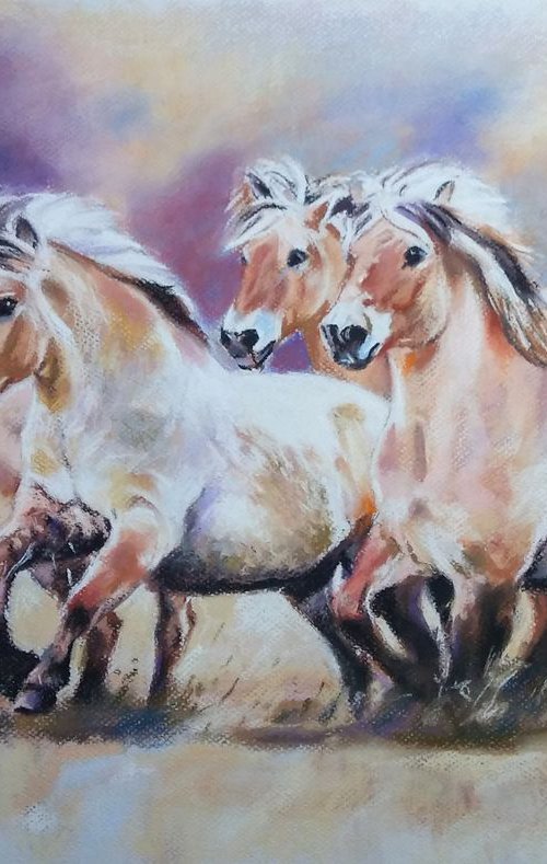With the wind - Fiorde horses by Magdalena Palega