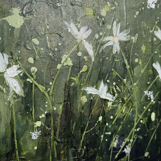 Woodland Flowers (2)