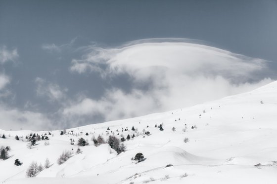 White Italian Scape #10