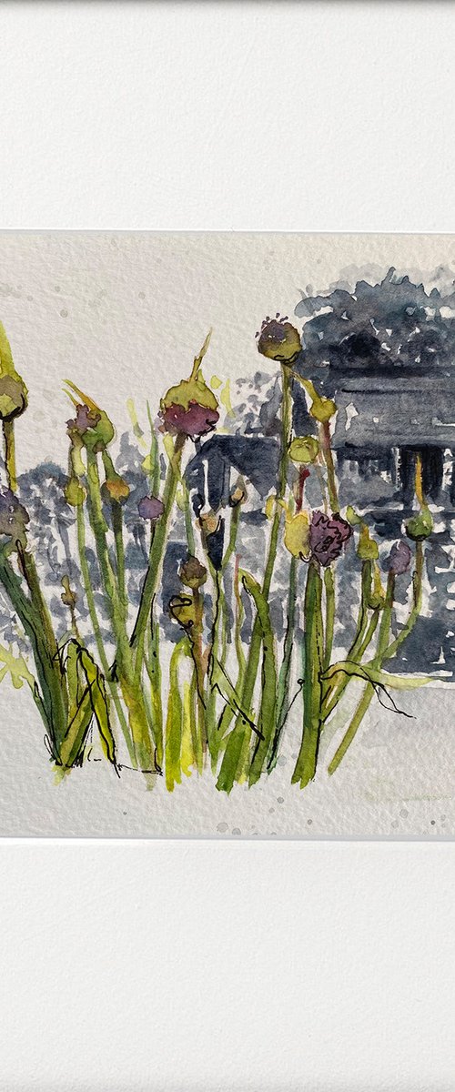 Garden Shed Gone to Seed Leeks by Teresa Tanner