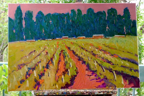 Blue Poplars and Vineyards