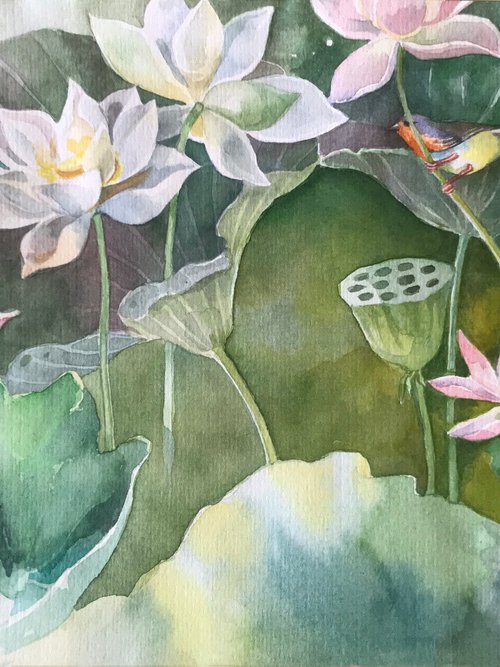 Water lilies by Inna Katsev