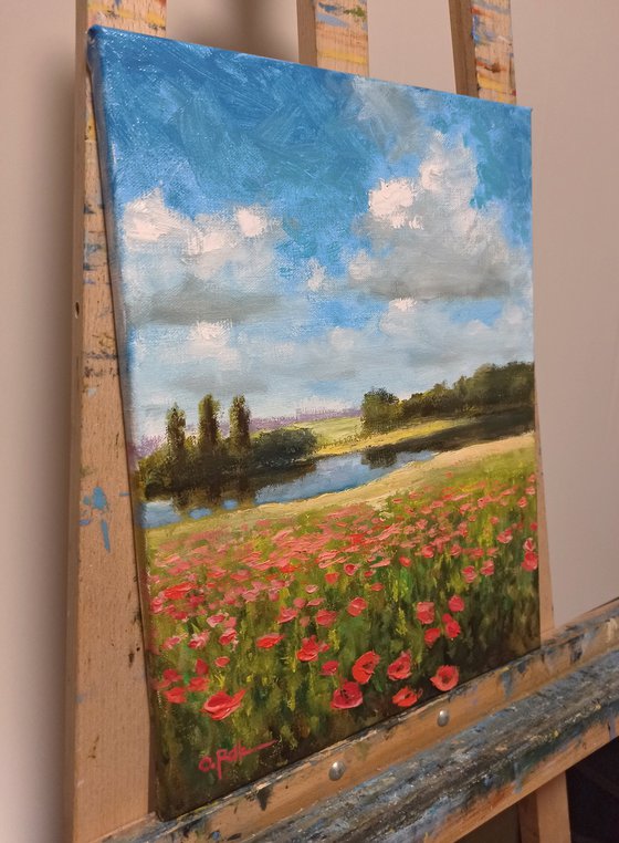 Summer impression. Poppies