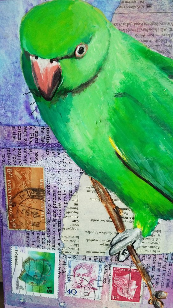 Parakeet - Ornithology#5 - Framed ready to hang original painting