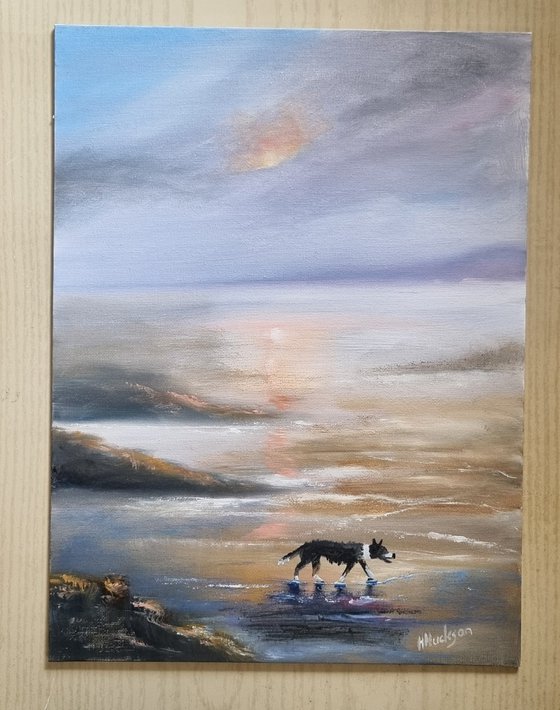 Collie at the Beach