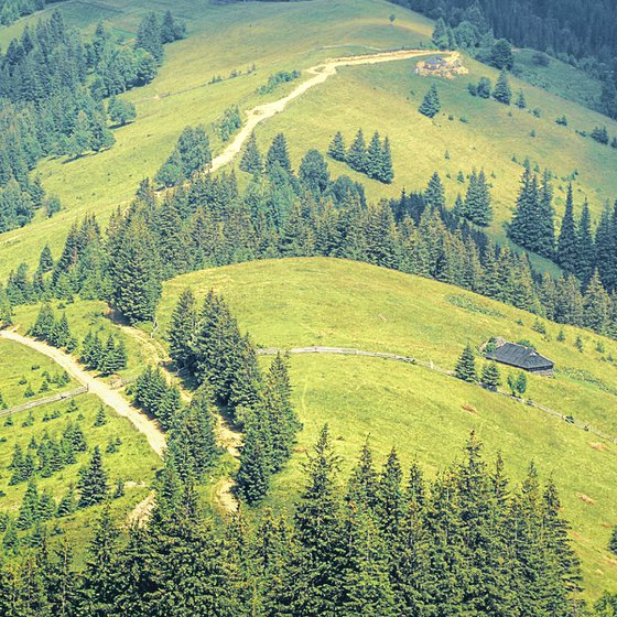 On the green mountain meadows.