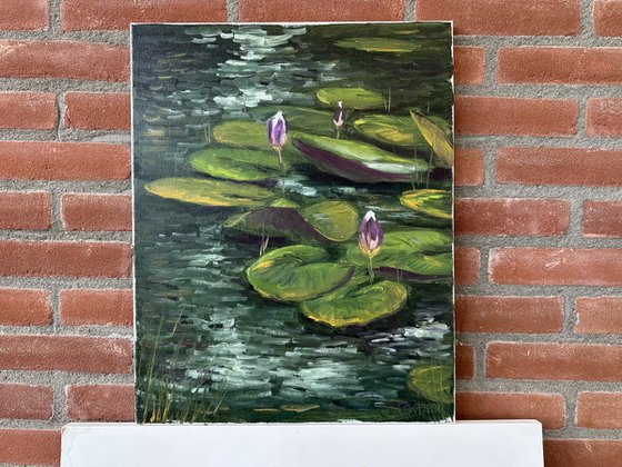 Water Lily Buds