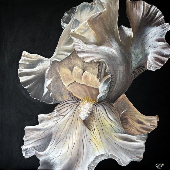 Unspoken Iris