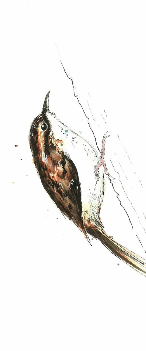 Treecreeper by Richard Long