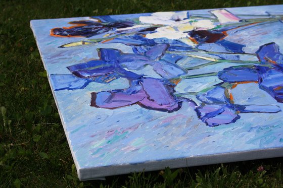 " Irises "