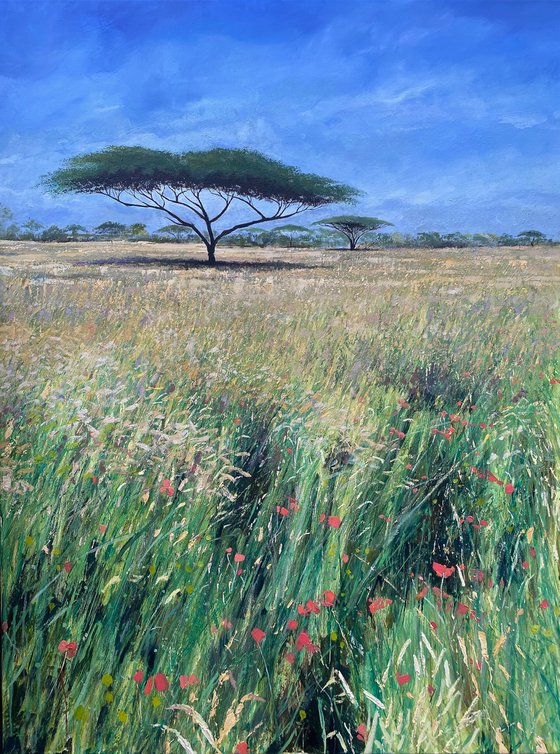 Acacia with Poppies